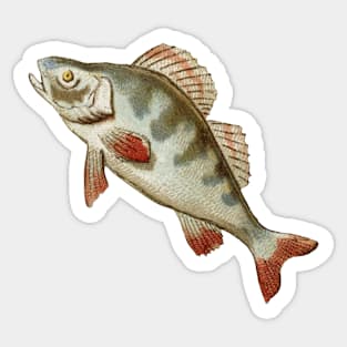 Here Fishy Fishy Sticker